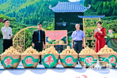 香飘全球 炎陵黄桃乘上天猫专列，升级鲜桃标杆地域品牌代购代销新体验